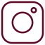 Instagram Icon
